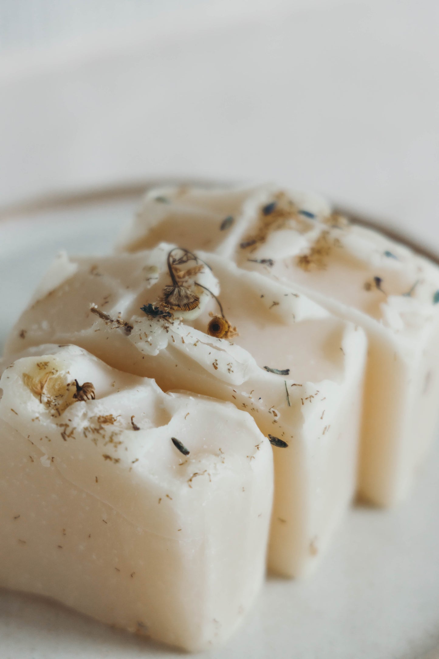 Feminine Wellness Bundle