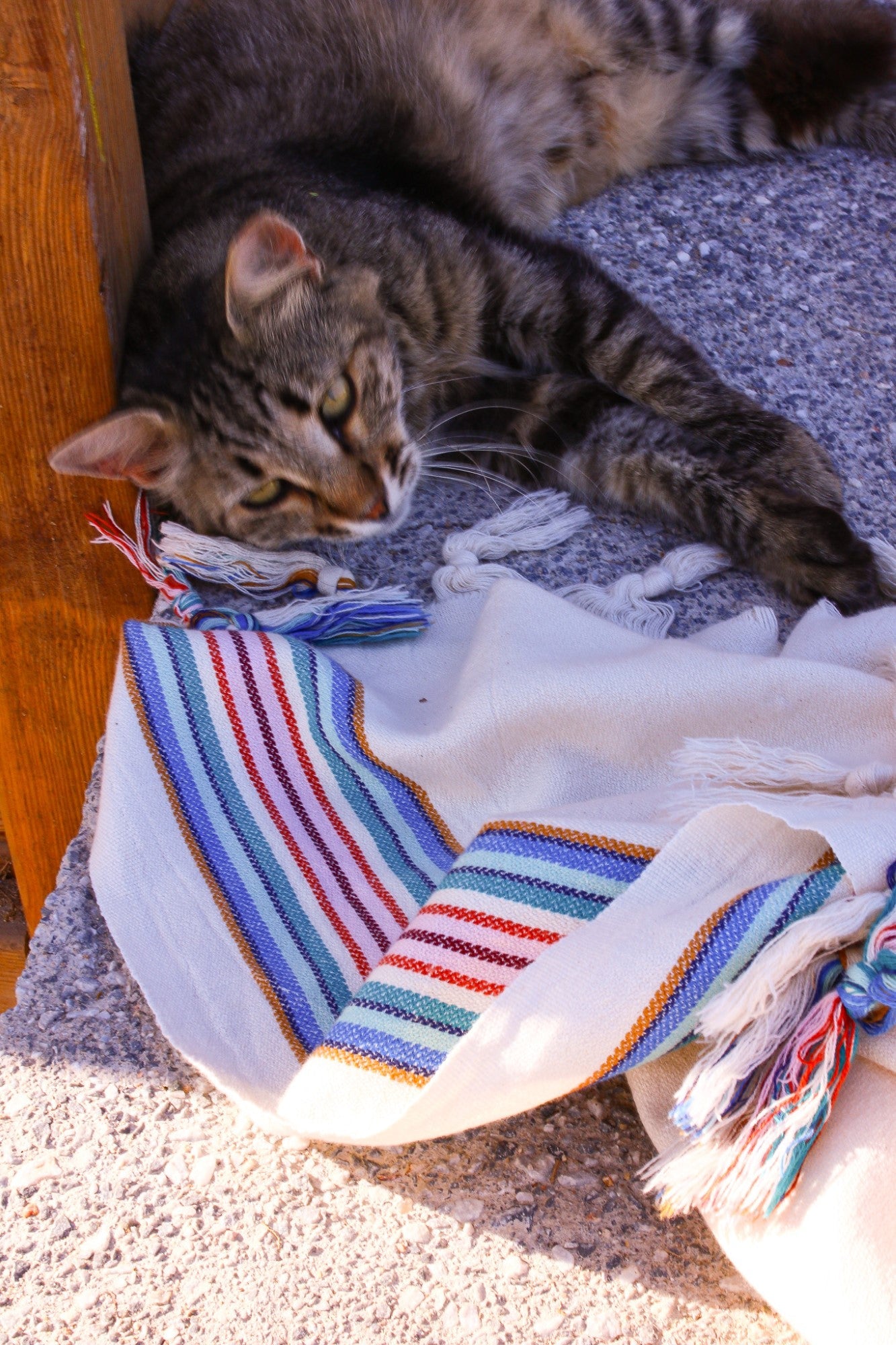 SUGAR Turkish Towel -updated-