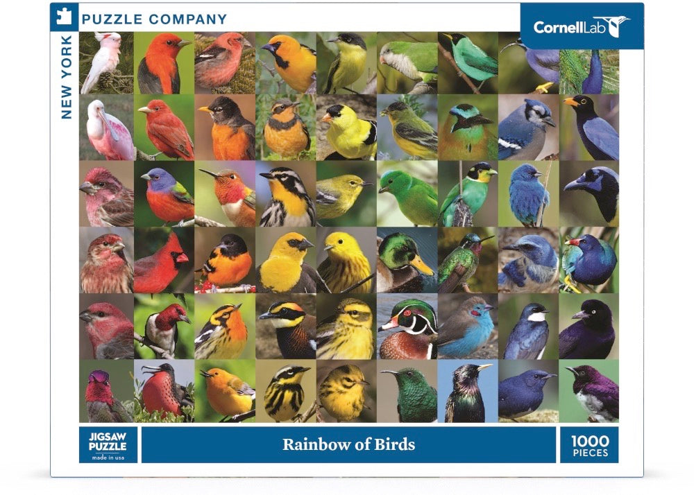 Rainbow of Birds