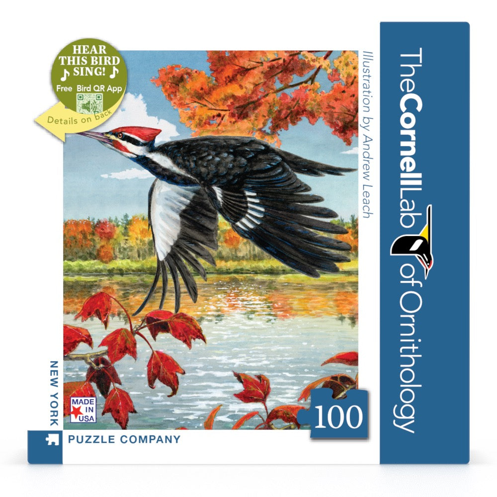 Pileated Woodpecker Mini