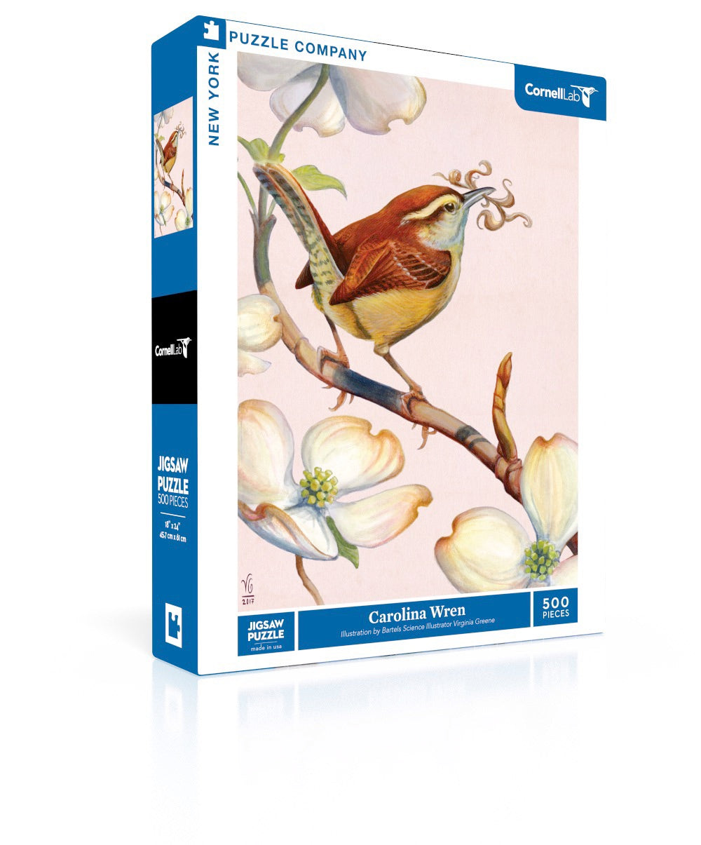 Carolina Wren