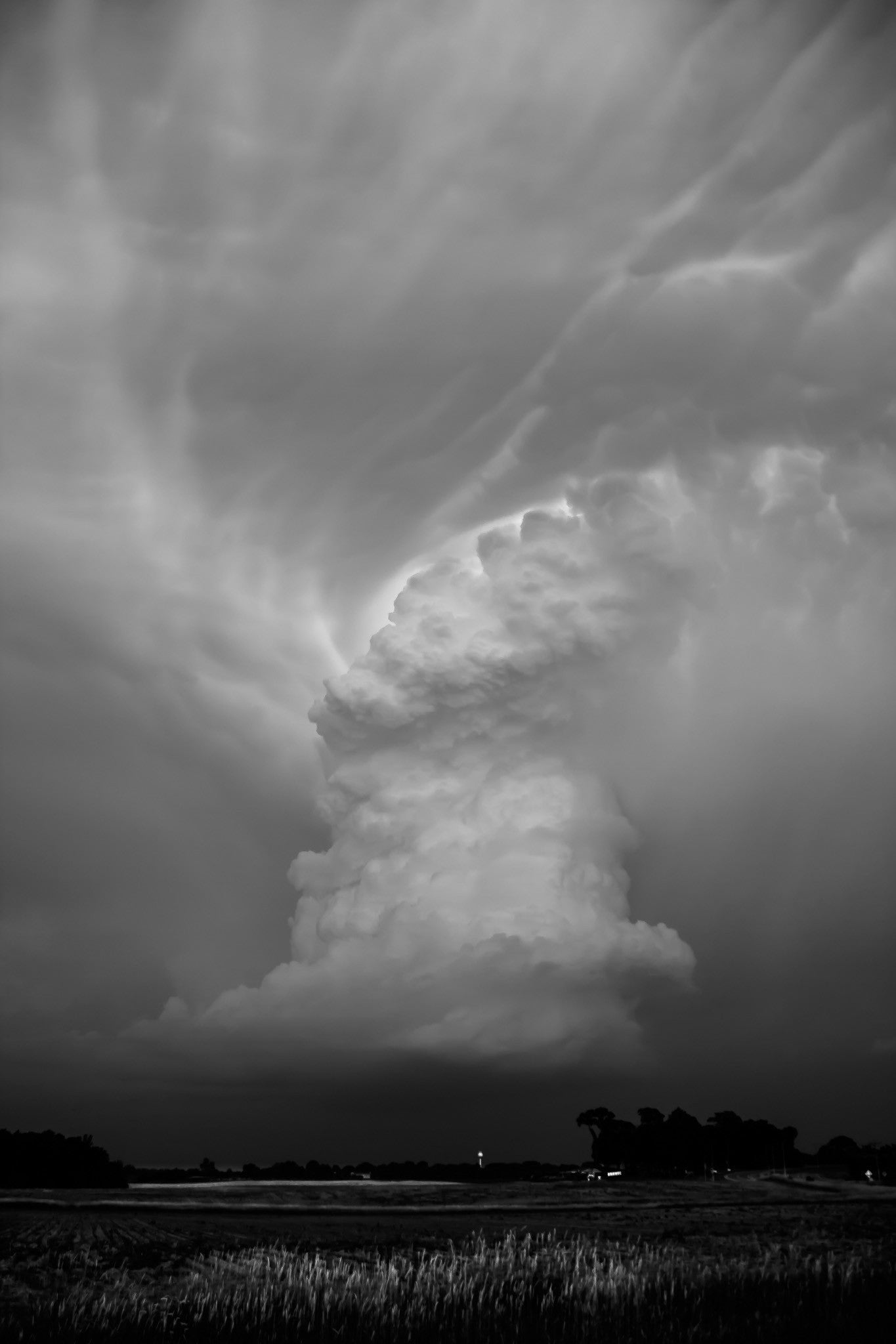 Capture Minnesota: Volume IV