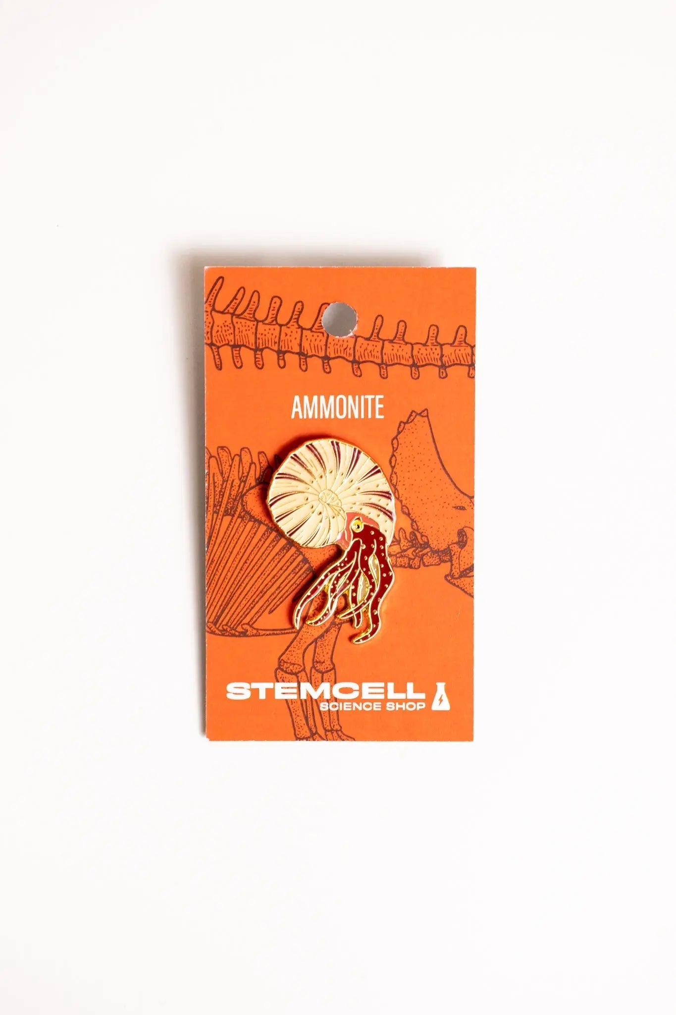 Ammonite Pin