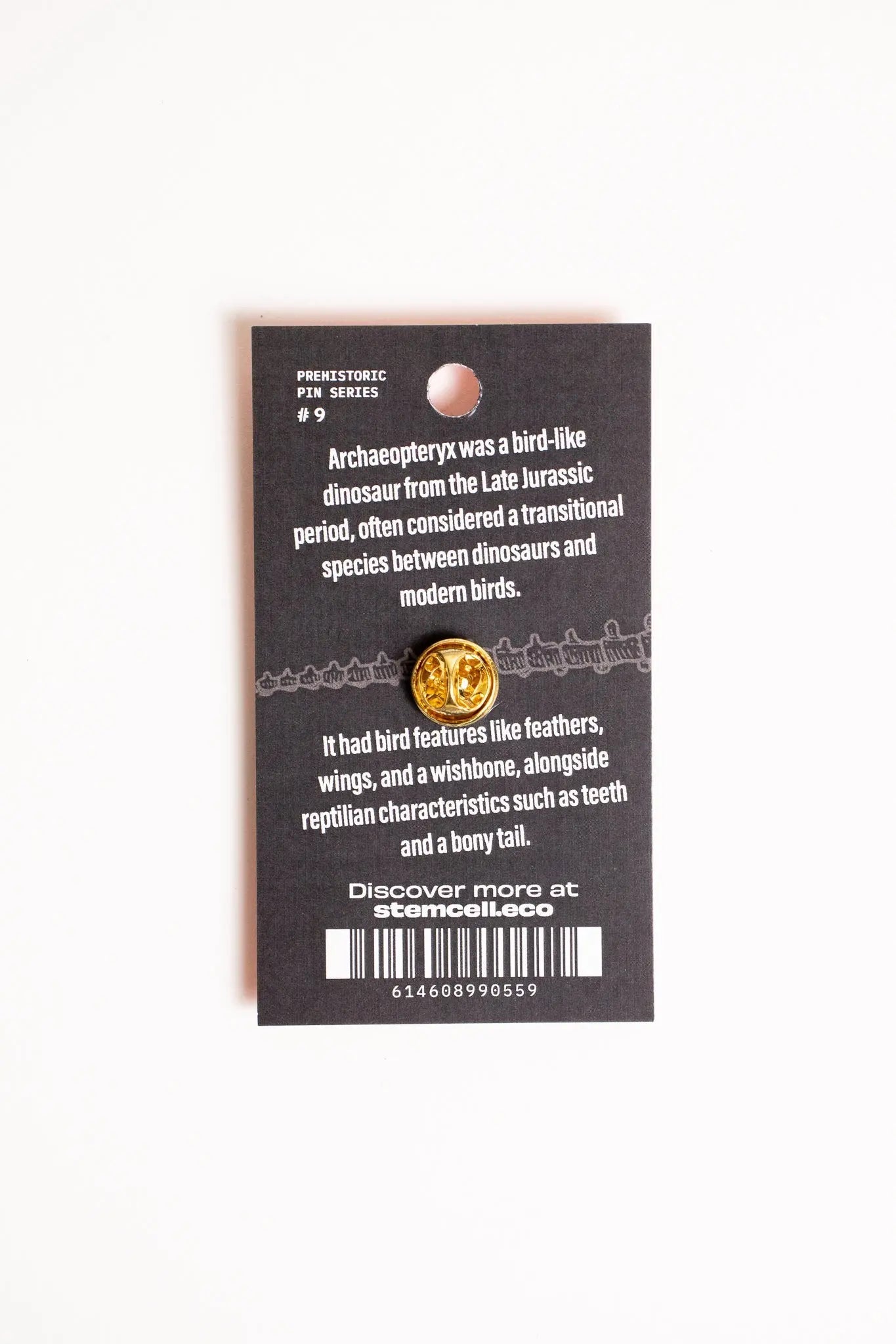 Archaeopteryx Pin