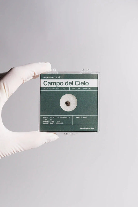 Campo del Cielo Meteorite