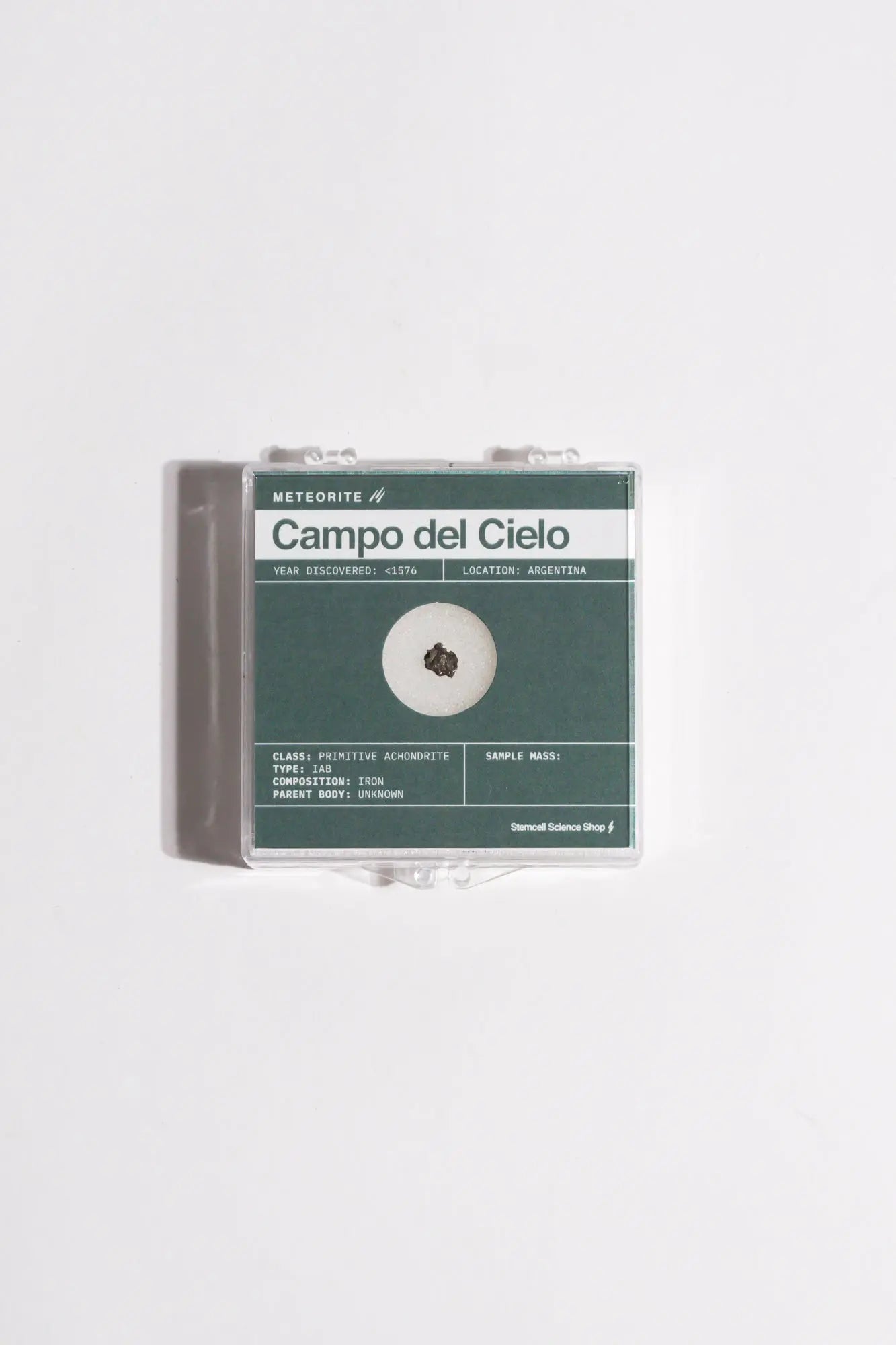 Campo del Cielo Meteorite