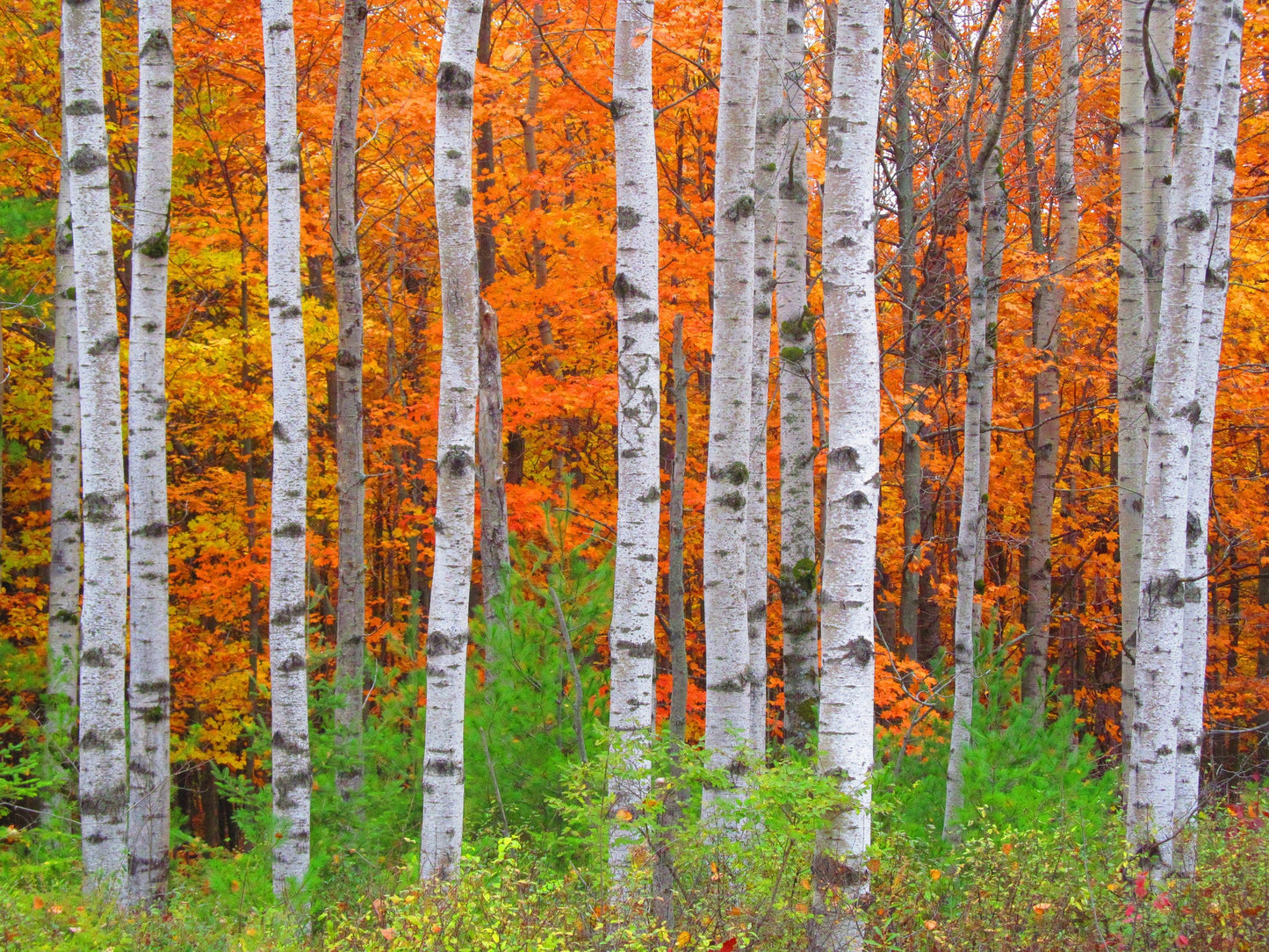 Capture Door County: Seasons Behind the Door: A Photographic Look at Door County's Seasons