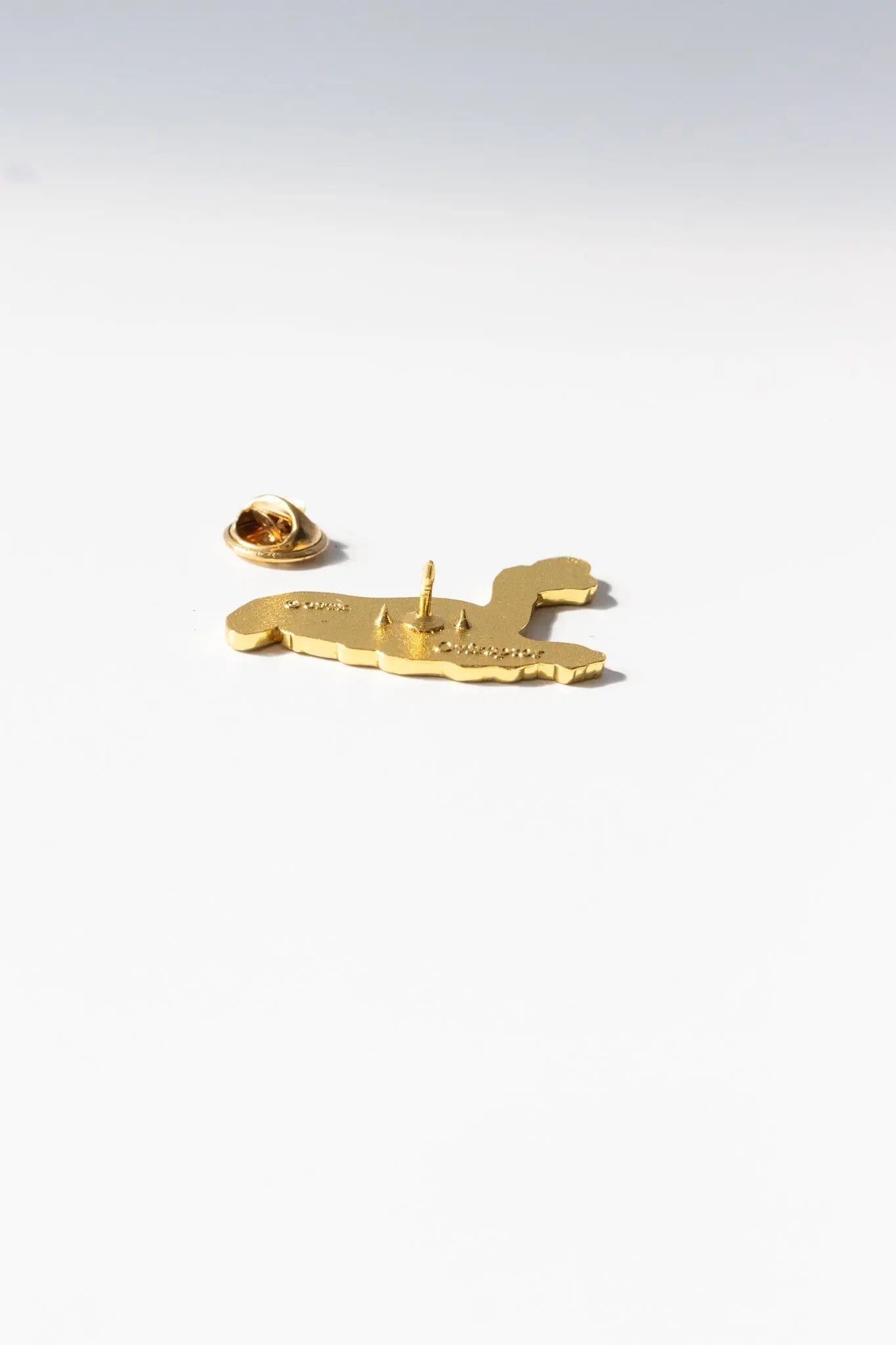 Oviraptor Enamel Pin (Oviraptor philoceratops)