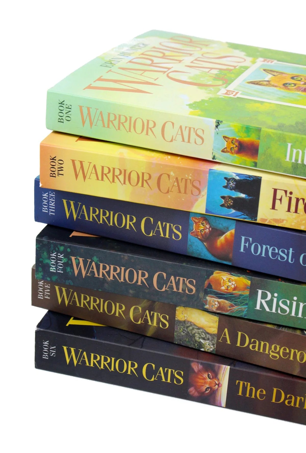 Warrior Cats Series 1 The Prophecies Begin 6 Book Collection Set - Erin Hunter - Paperback