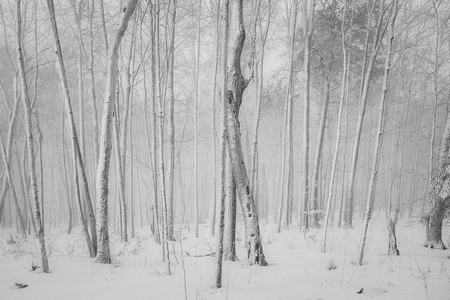 Capture Door County: Seasons Behind the Door: A Photographic Look at Door County's Seasons